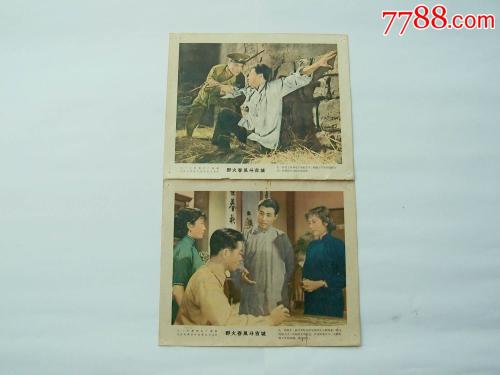 新西兰驾驶证样本怎么购买
